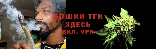 тгк Касимов