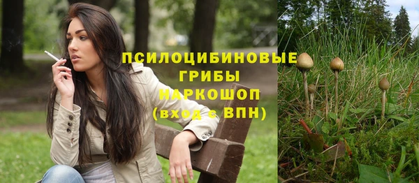 тгк Касимов
