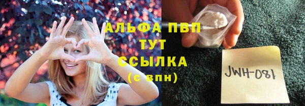 дживик Кинешма