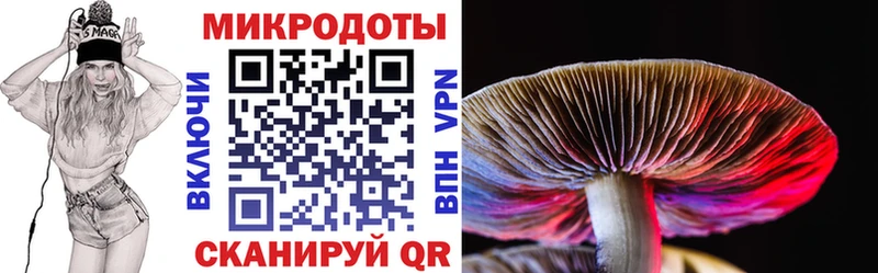 Галлюциногенные грибы мицелий  Купить  Дегтярск 