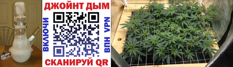 Купить где  Дегтярск  Каннабис Ganja 